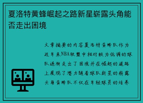夏洛特黄蜂崛起之路新星崭露头角能否走出困境