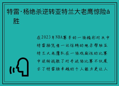特雷·杨绝杀逆转亚特兰大老鹰惊险取胜
